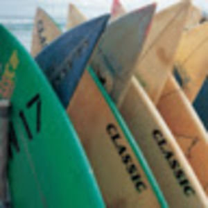 Meet your Posher, Nora